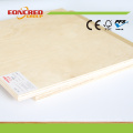 Best Price and Best Quality Commercial Plywood